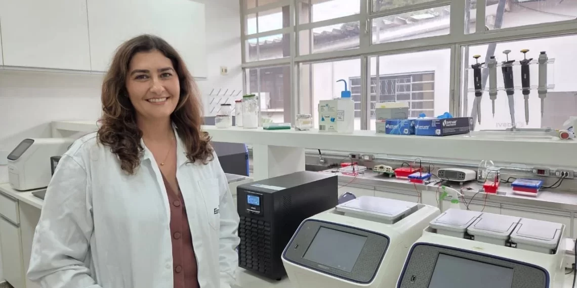 Brasil tem potencial para ser maior produtor de cannabis do mundo, diz coordenadora da Embrapa