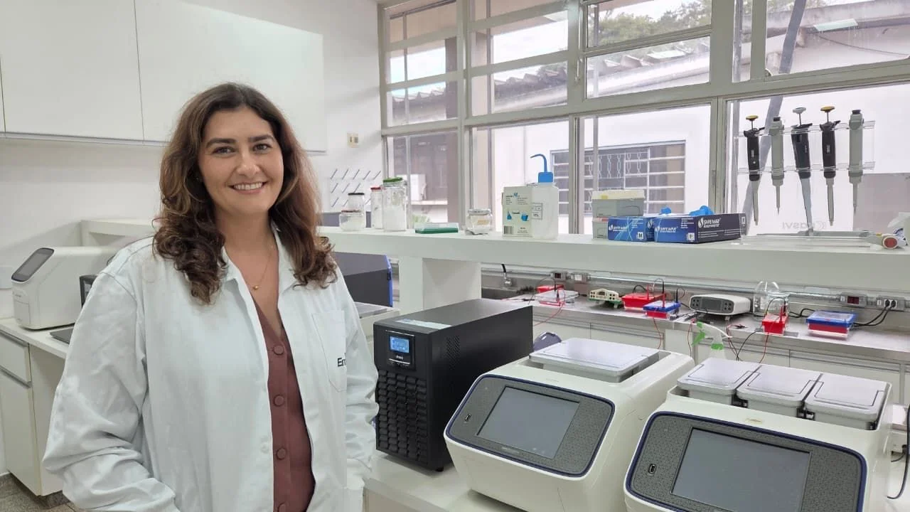 Brasil tem potencial para ser maior produtor de cannabis do mundo, diz coordenadora da Embrapa