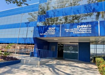 Municípios têm até 15 de abril para enviar dados sobre agricultura familiar à Seaf
