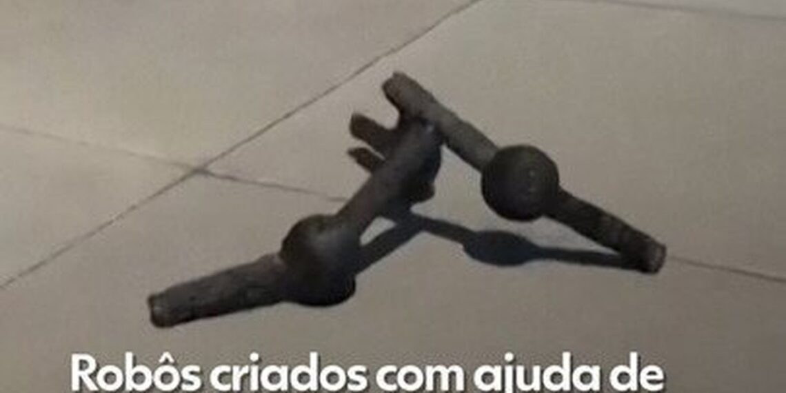 ‘Metamáquinas’: robôs ‘diferentões’ criados com IA operam após danos