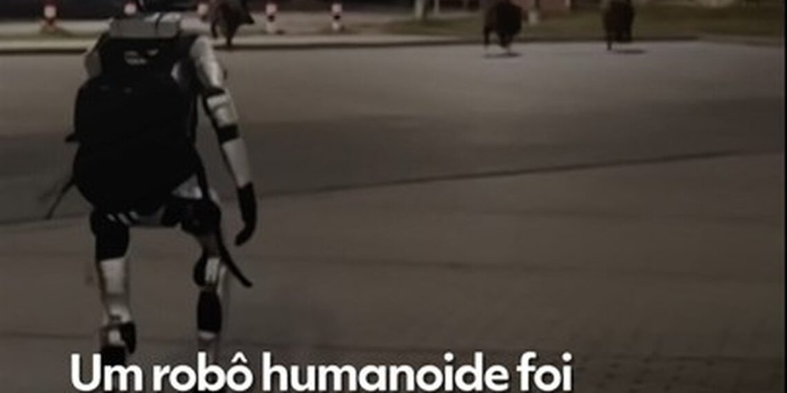 VÍDEO: robô humanoide persegue javalis selvagens na Polônia