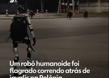 VÍDEO: robô humanoide persegue javalis selvagens na Polônia