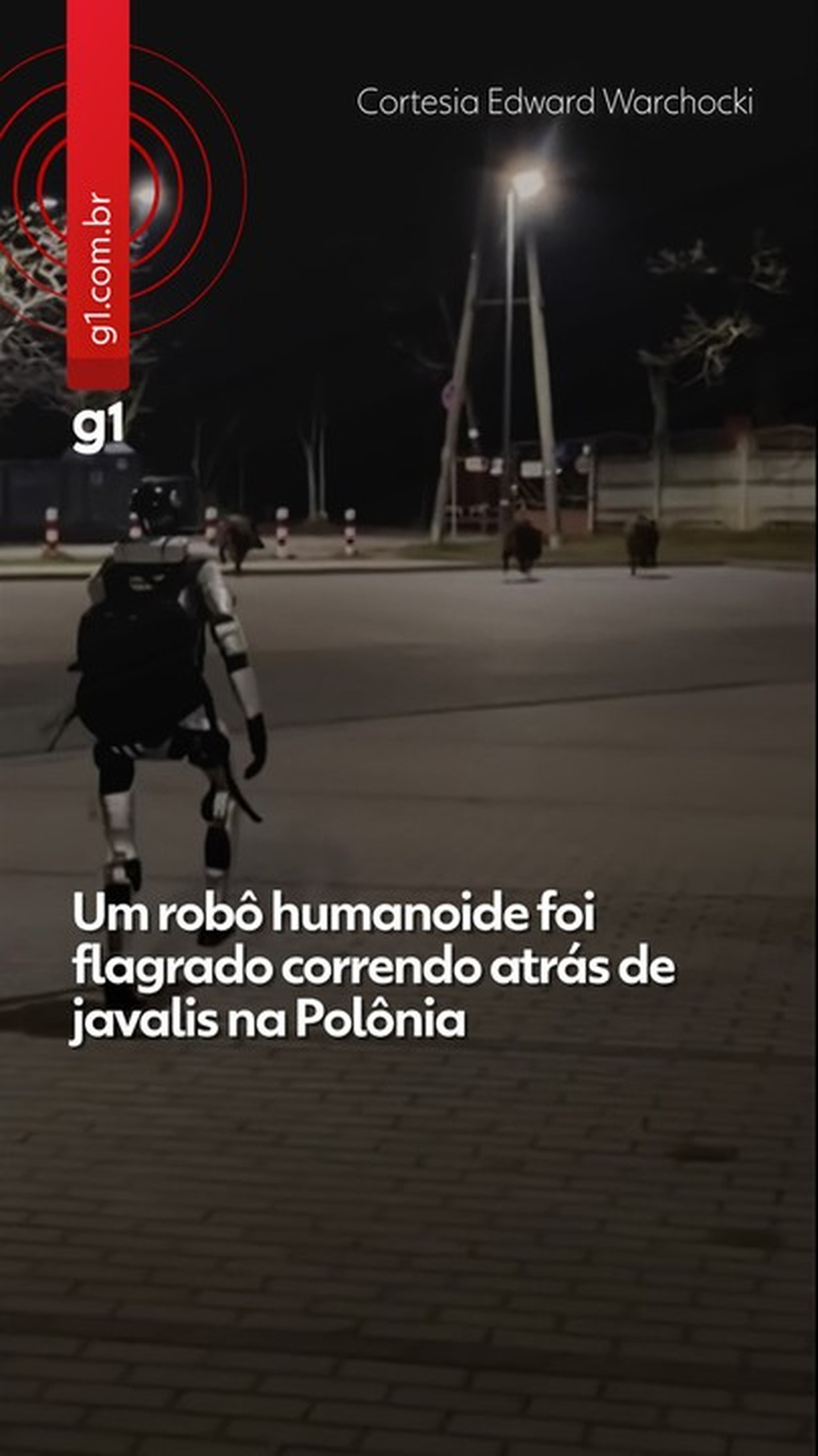VÍDEO: robô humanoide persegue javalis selvagens na Polônia