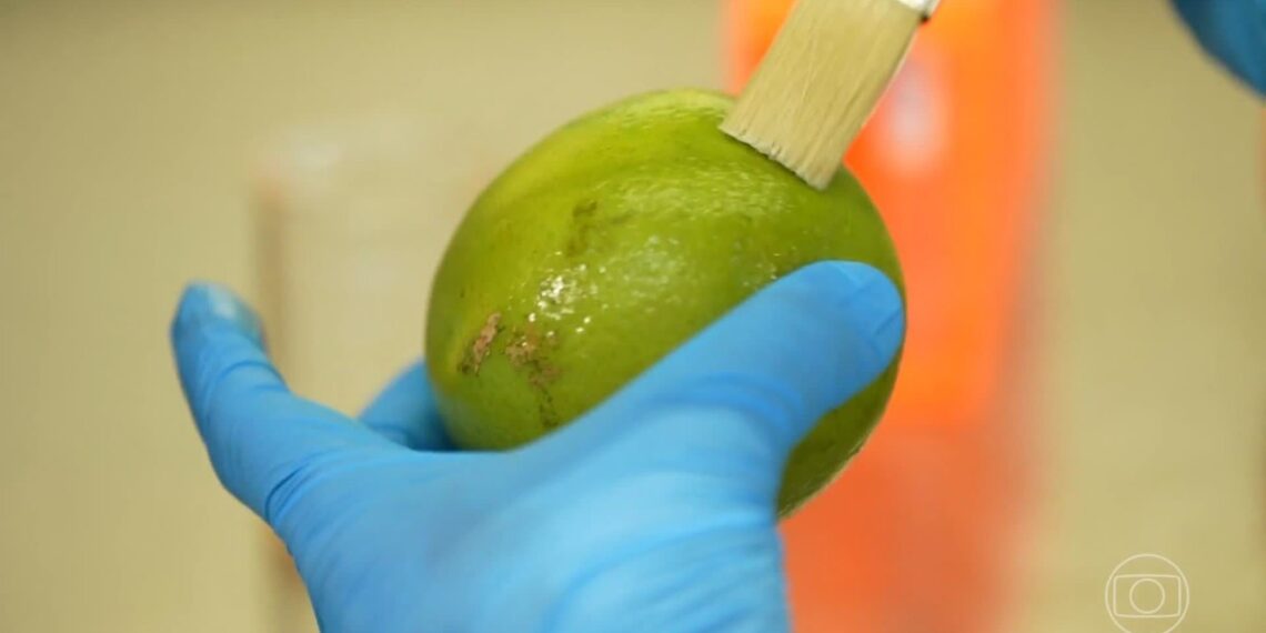Pesquisadores brasileiros desenvolvem biodetergente capaz de prolongar a vida útil de frutas e legumes
