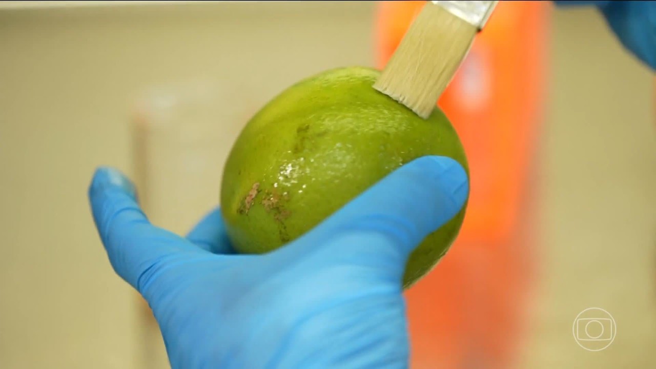 Pesquisadores brasileiros desenvolvem biodetergente capaz de prolongar a vida útil de frutas e legumes
