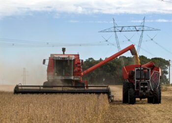 Brasil deve bater recorde de exportação e produção de soja em 2026, diz associação