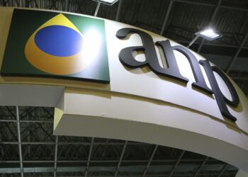 ANP regulamenta cálculo para importação do gás liquefeito de petróleo