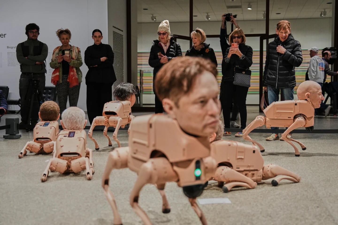 Musk e Zuckerberg viram cães-robôs que fazem ‘cocô artístico’ em museu