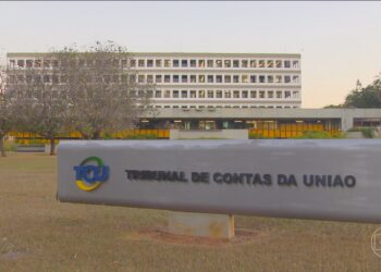 TCU manda INSS suspender concessão de novos empréstimos pessoais consignados até ajustes internos