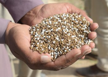 Crise dos fertilizantes: quase metade do adubo importado vem de países em conflito, diz relatório