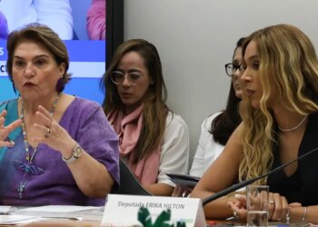 Na Câmara, Márcia Lopes debate escalada de violência contra a mulher