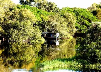 Relatório propõe novas regras para definição de áreas de reserva legal em MT