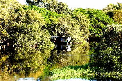 Relatório propõe novas regras para definição de áreas de reserva legal em MT