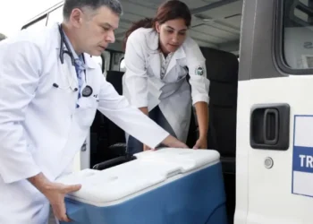 Brasil bate recorde de transplantes em 2025