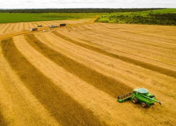 MT consolida safra 25/26 com produção recorde e mantém liderança na soja há 26 safras