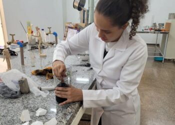 Fapemat realiza seminário de alinhamento do Programa Pesquisa para o SUS em Cuiabá