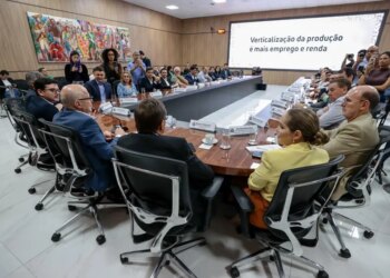 Programa do Governo vai fomentar a industrialização do algodão em pluma produzido no Estado