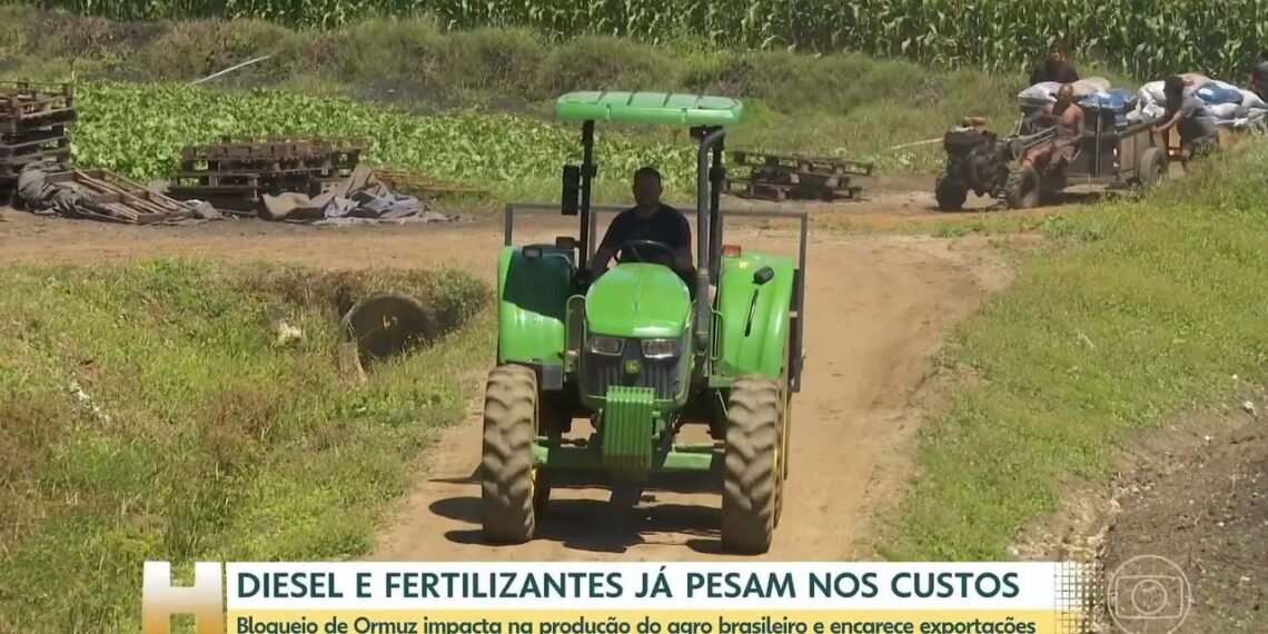 Bilhões de refeições ao redor do mundo estão em risco por causa da guerra no Irã, diz presidente de empresa de fertilizantes