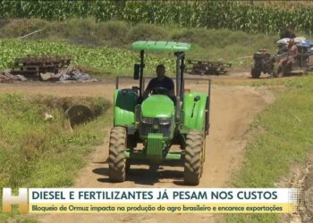 Bilhões de refeições ao redor do mundo estão em risco por causa da guerra no Irã, diz presidente de empresa de fertilizantes