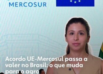 Imposto do vinho europeu começa a cair nesta sexta e zera em 2034