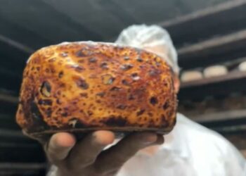 Caverna subterrânea e fungos naturais ajudam produtor a criar queijos premiados em Goiás