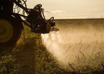 Agronegócio poderá usar linha de crédito do FAT para inovação