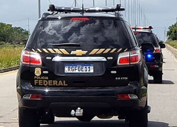 PF combate tráfico internacional de drogas em 10 cidades catarinenses