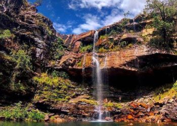 Criança de 8 anos é atacada por onça na Chapada dos Veadeiros