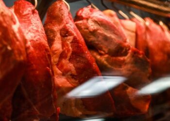Brasil vai enviar informações para UE para resolver veto à carne, diz Ministério