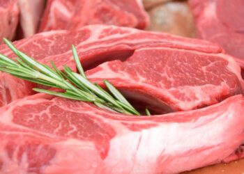 O embate sobre a carne brasileira na UE: protecionismo ou questão de saúde pública?