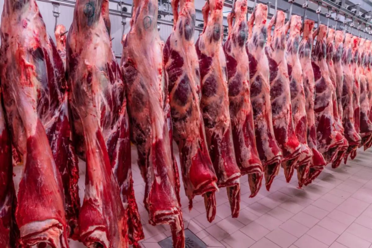 Brasil recebe com ‘surpresa’ veto de carnes brasileiras pela União Europeia e tentará reverter decisão, diz governo