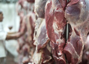 Exportações do agro crescem 11,7% e atingem recorde de US$ 16,65 bilhões em abril