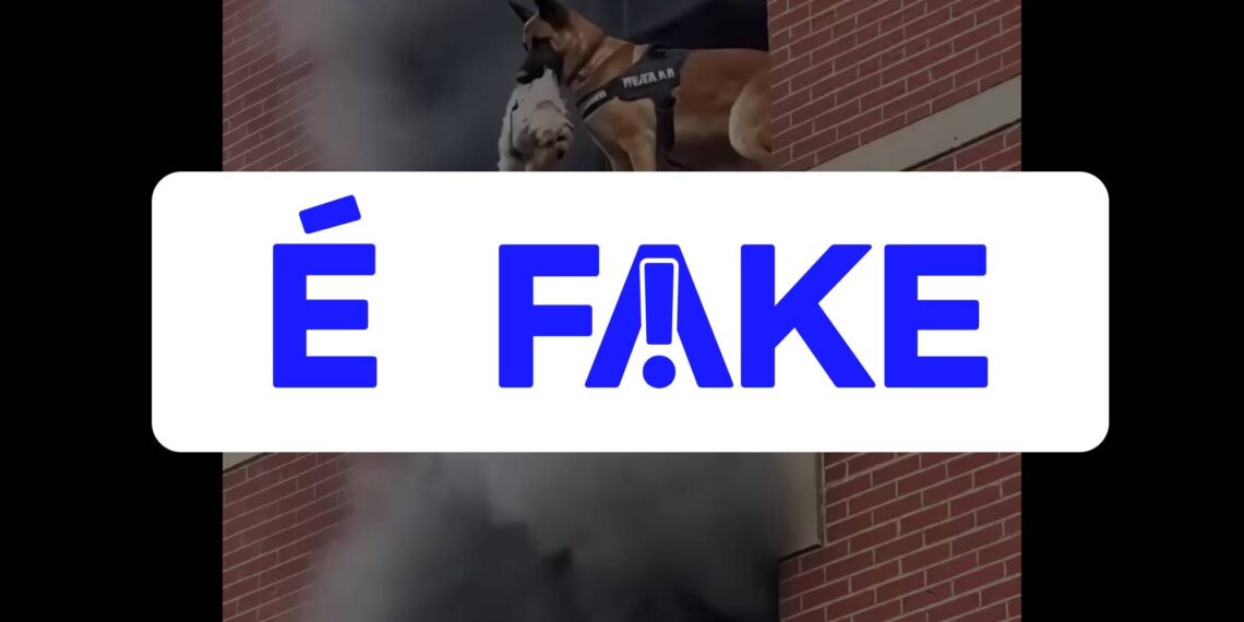 É #FAKE vídeo de cão policial salvando shih tzu de prédio em chamas; cena foi criada com inteligência artificial