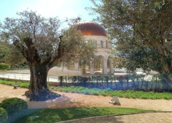 Memorial do Jardim Bíblico reabre após reforma