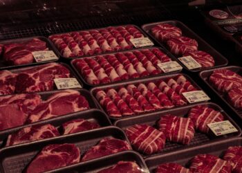 Veto à carne brasileira expõe diferenças importantes na forma como a União Europeia e o Mercosul tomam decisões