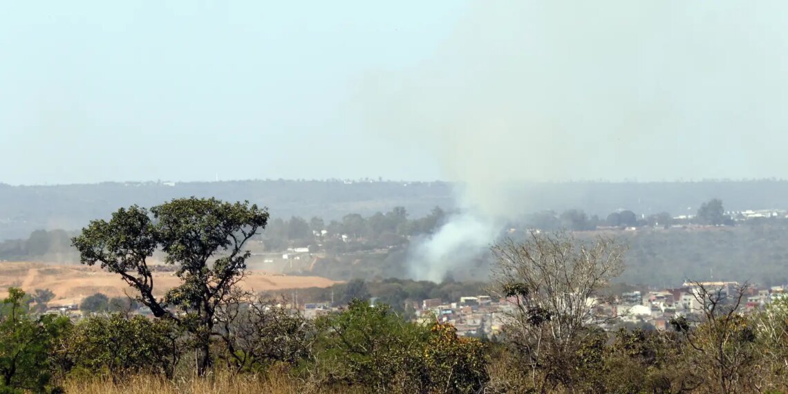 MMA lança edital para arborizar periferia urbana de pequenas cidades
