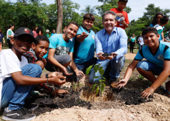 TCE-MT transforma agenda ambiental em soluções para os municípios