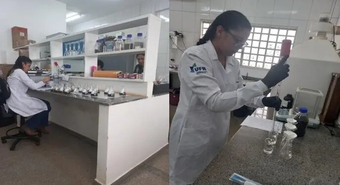 Pesquisadores desenvolvem fertilizante sustentável a partir de cinza vegetal em Rondonópolis