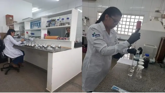 Pesquisadores desenvolvem fertilizante sustentável a partir de cinza vegetal em Rondonópolis