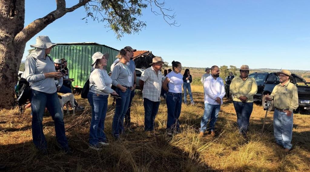 Programa Todos pelo Araguaia deve recuperar mil hectares de áreas degradadas até dezembro