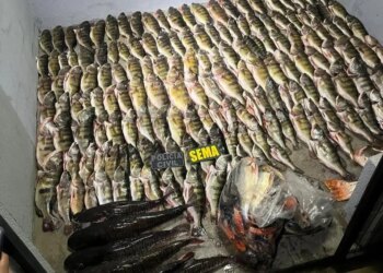 Sema apreende 184 unidades de pescado em Luciara e carne de caça em Santa Terezinha