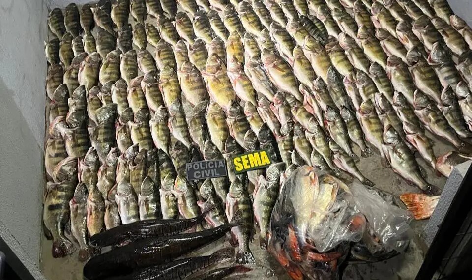 Sema apreende 184 unidades de pescado em Luciara e carne de caça em Santa Terezinha