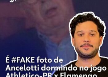 Vídeo de cão e gato de ponta-cabeça é ilusão de ótica criada por IA