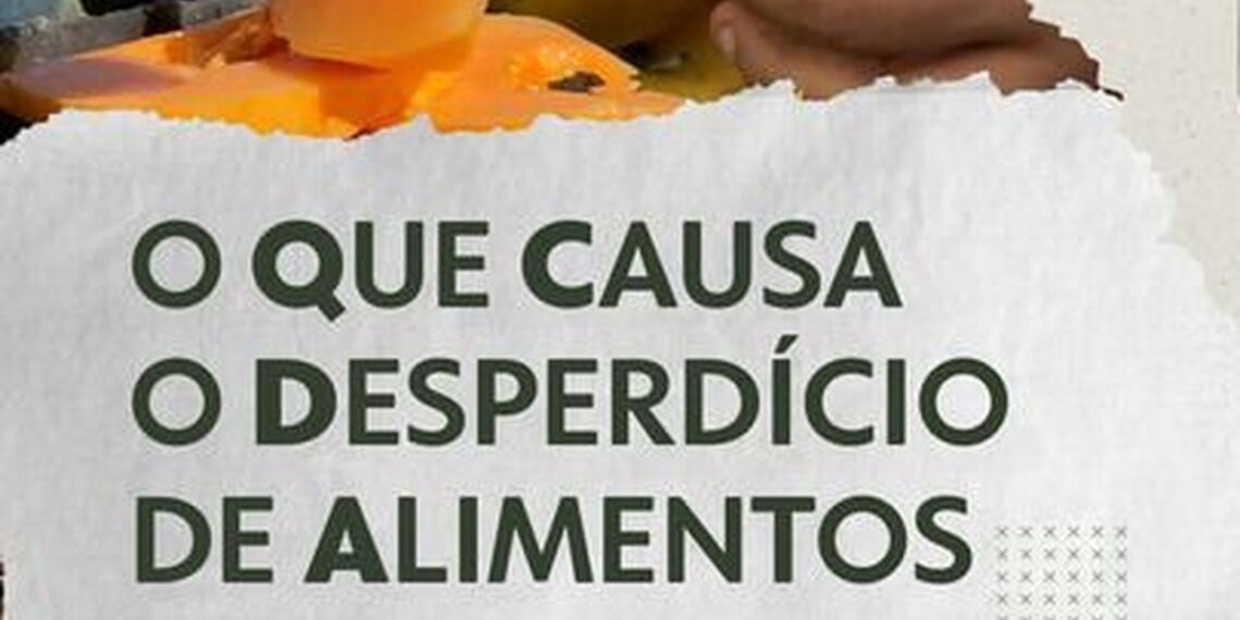 Do campo à geladeira: por que há tanto desperdício de alimentos no Brasil, enquanto milhões passam fome