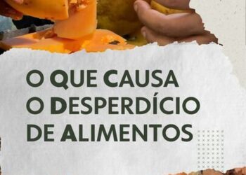 Do campo à geladeira: por que há tanto desperdício de alimentos no Brasil, enquanto milhões passam fome