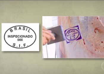 Para que serve o carimbo na carne? Preciso tirar antes de comer? Saiba o que ele significa