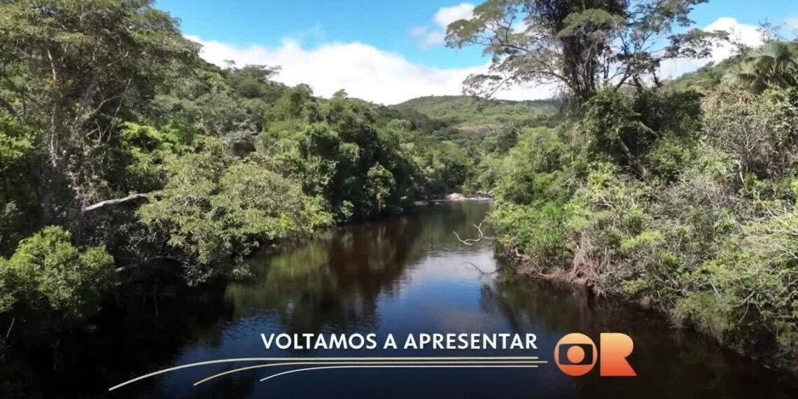 'Ajoelhei e pedi a Deus que me desse água': como a irrigação transformou 'corredor da miséria' em Goiás em polo de frutas