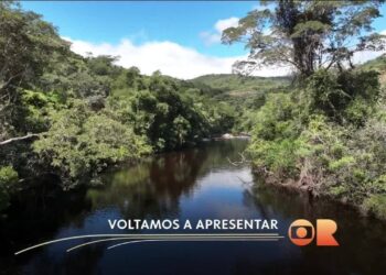 'Ajoelhei e pedi a Deus que me desse água': como a irrigação transformou 'corredor da miséria' em Goiás em polo de frutas