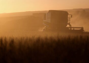 Leilões de propriedades rurais disparam no Brasil com aumento da inadimplência no campo