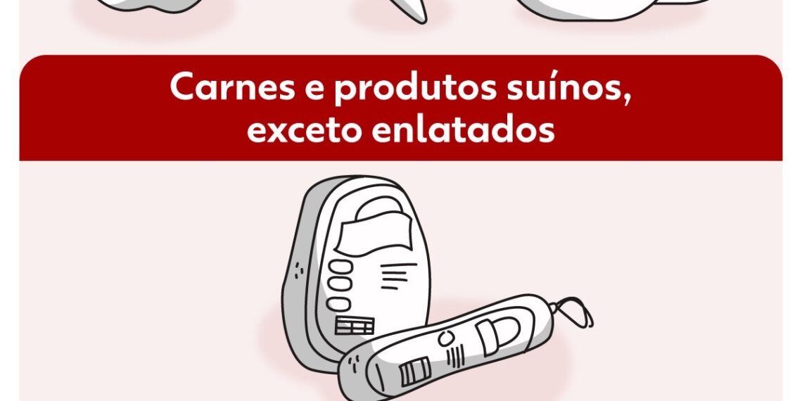 Vai trazer comida do exterior? Veja o que pode entrar no Brasil e o que exige autorização